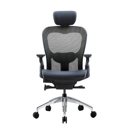 เก้าอี้เพื่อสุขภาพ DF PROCHAIR รุ่น Wonder-H สีดำ_1